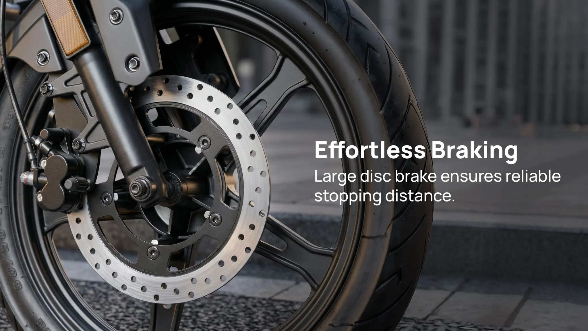 Carria 3 disc brake